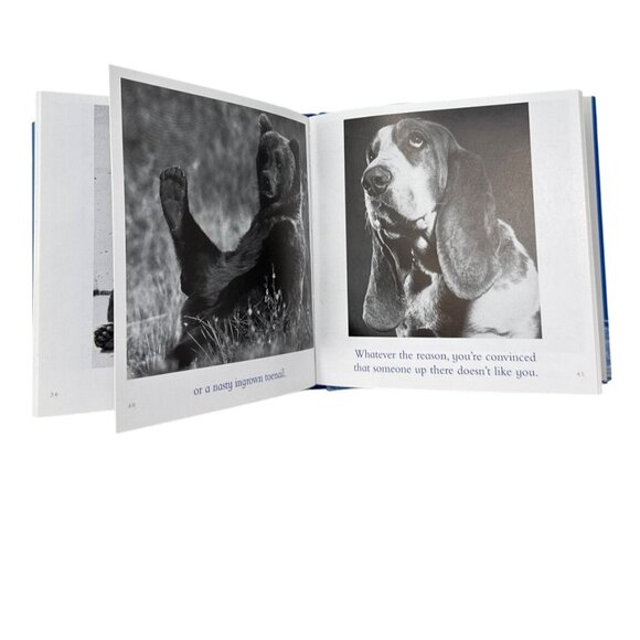 The Blue Day Book By Bradley Trevor Greive - Picture 3 of 4